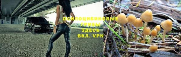 таблы Няндома