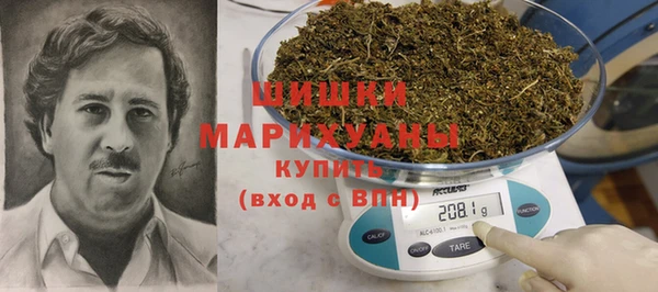 PSILOCYBIN Нязепетровск