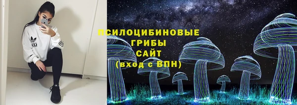 МДПВ Бутурлиновка
