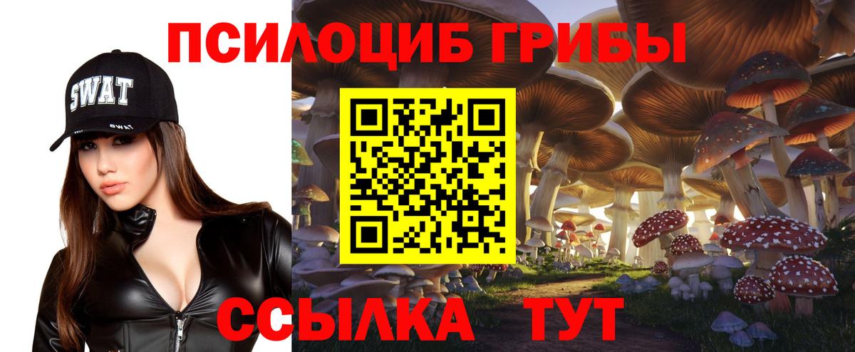 где купить   Галлюциногенные грибы Magic Shrooms  Вход с VPN  Омск 