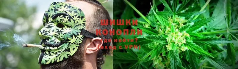 Бошки марихуана OG Kush  даркнет телеграм  Омск 